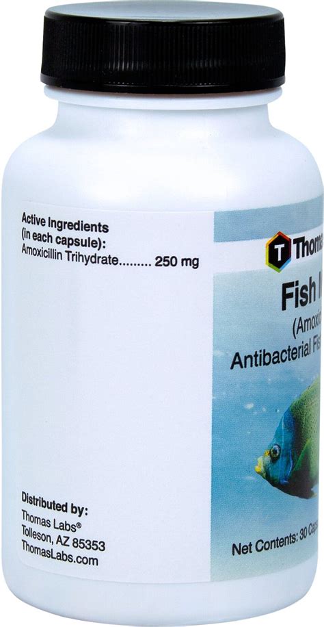 thomas labs fish mox|Thomas Labs Fish Mox Forte Amoxicillin Antibacterial Fish Medication ...